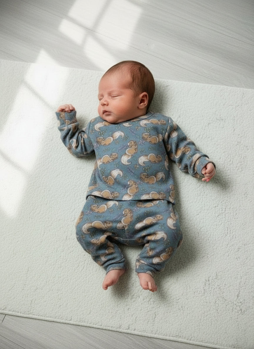 Squirrel clothing set