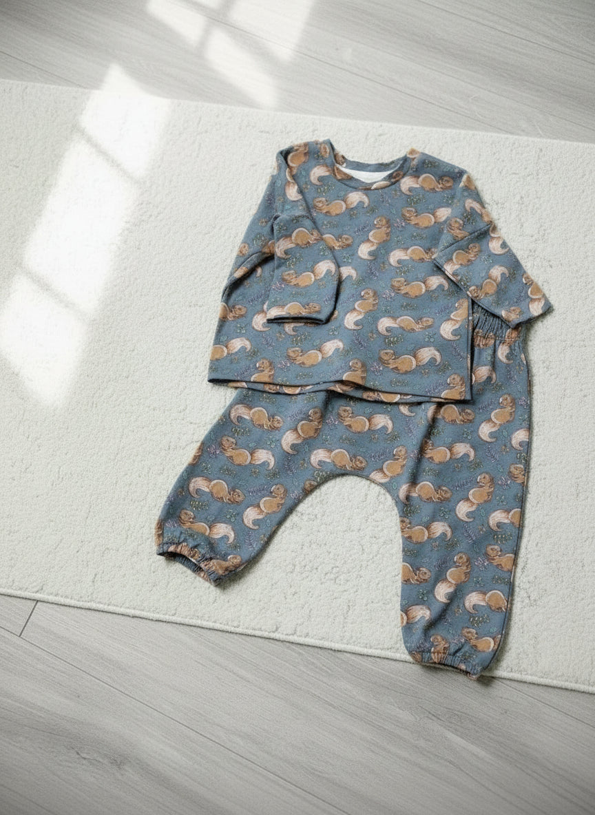 Squirrel clothing set