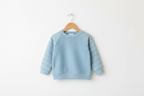 A light green children's long-sleeve sweatshirt with white horizontal stripes on the sleeves, hanging on a wooden hanger against a plain white wall. Snazzy Sproglets